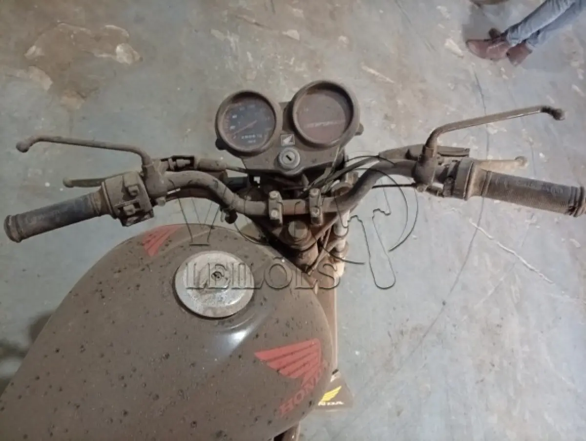 LOTE 010 - FAN PRETA