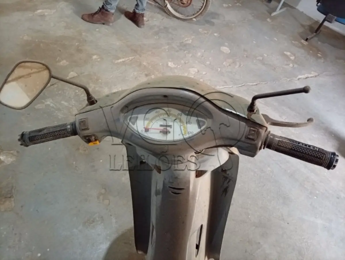 LOTE 003 - BIS VERDE