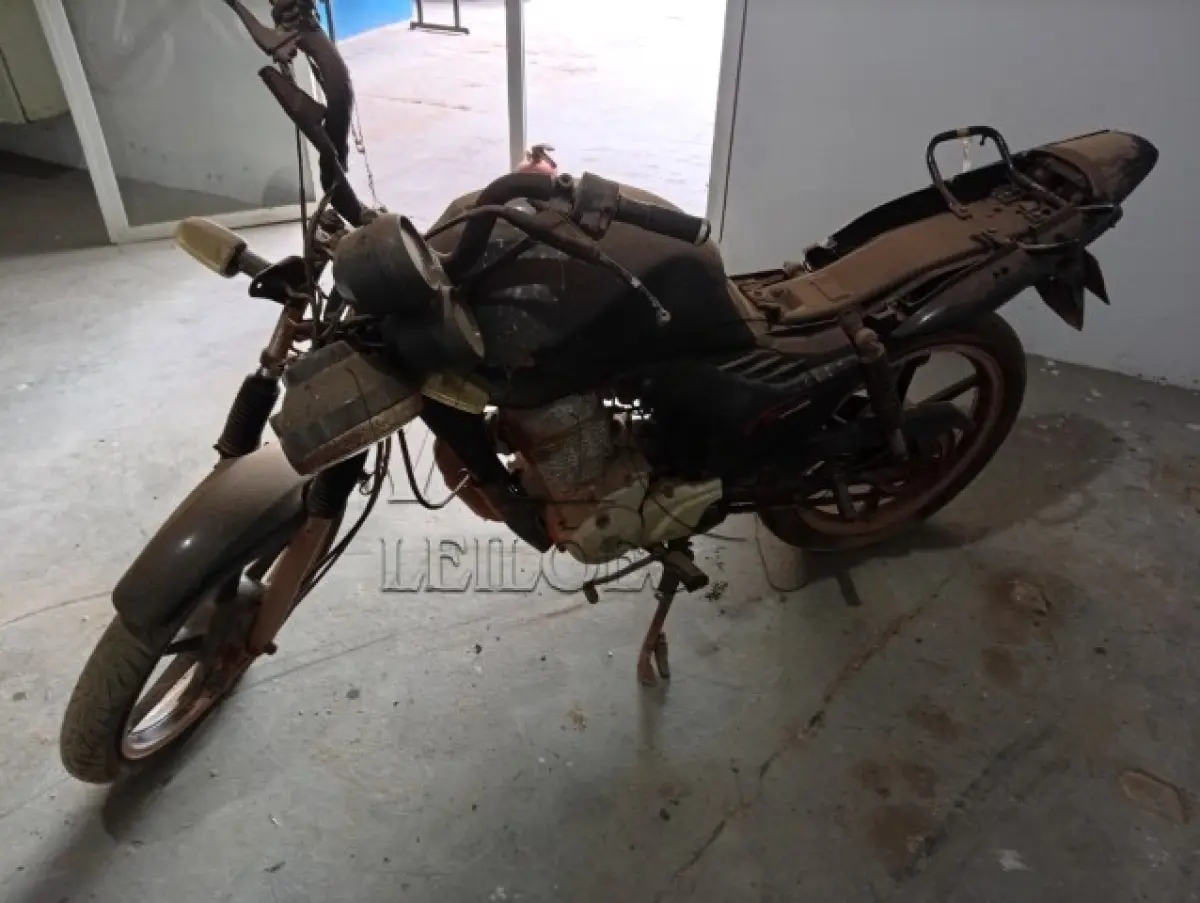LOTE 031 - HONDA FAN