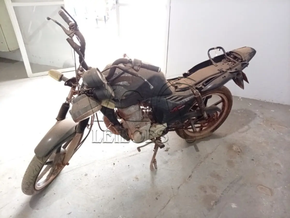LOTE 031 - HONDA FAN