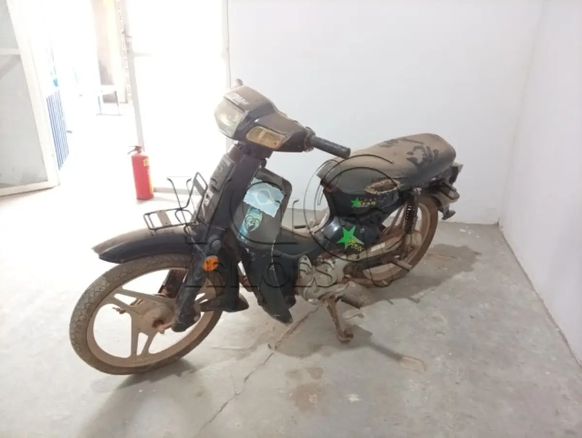 LOTE 002 - TRAXX STAR JL 50 Q-2