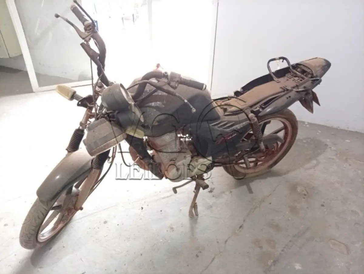 LOTE 031 - HONDA FAN