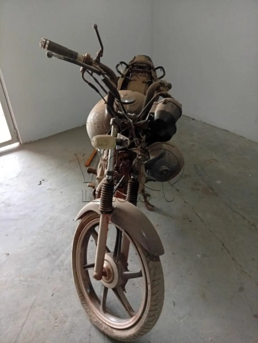 LOTE 031 - HONDA FAN