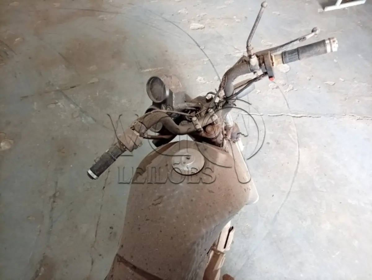 LOTE 031 - HONDA FAN