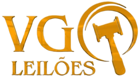 VG Leilões Públicos